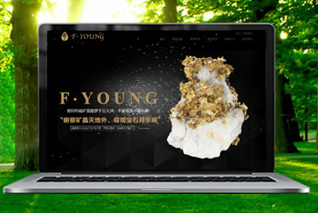 �γǸ������ﱦʯ